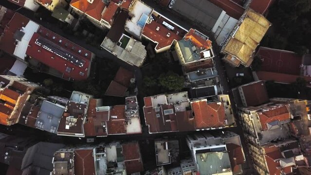 Seagulls flying over building roofs in suburban Istanbul. Aerial birdseye, rising