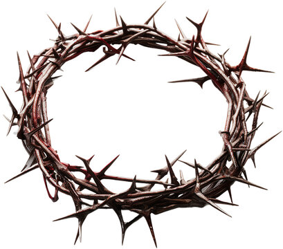 Crown of thorns isolated on transparent background