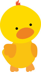 Baby duck illustration