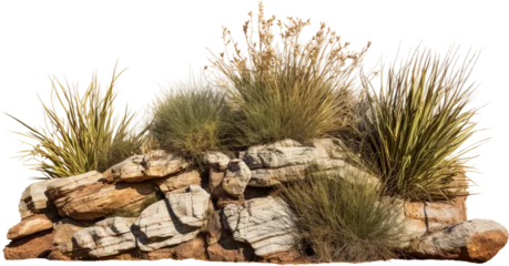 Foto op Aluminium Isolated Savanna Landscape with Dry Grass and Rocks, Transparent Background © Md Shahjahan
