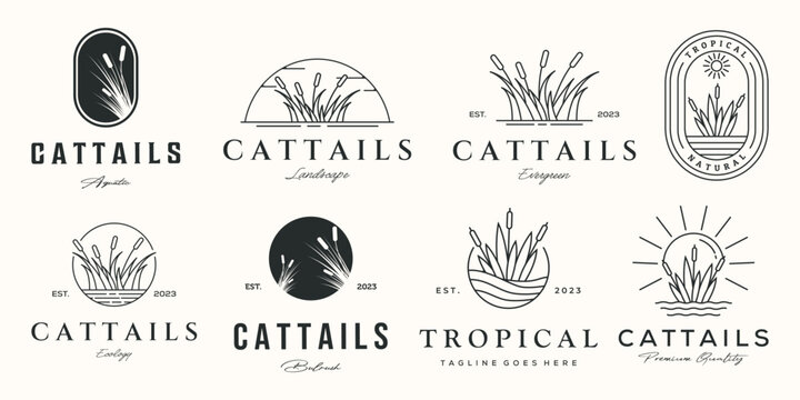 set of cattail logo line art vector illustration concept template icon design, collection of nature cattail plant with badge and symbol concept vector illustration logo design
