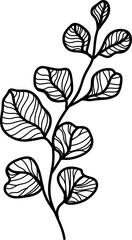 Plant illustration