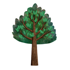 tree illustrations 