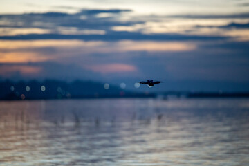 석양이 내려앉는 보홀바닷가를 촬영중인 드론