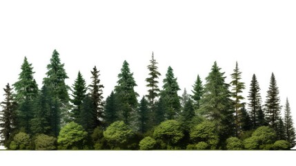Isolated Summer Forest Tree Line. Generative AI