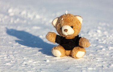Teddy bear on white snow in winter