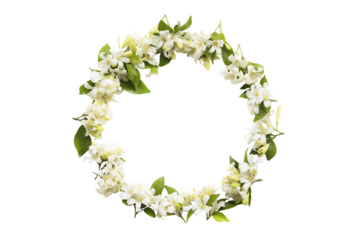 white flowers jasmine local flora arrangement flat lay circle postcard style 