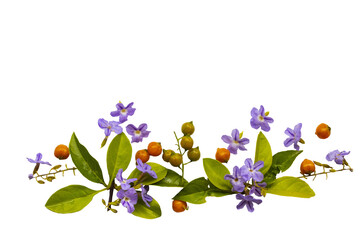 little purple flowers local flora arrangement flat lay postcard style 