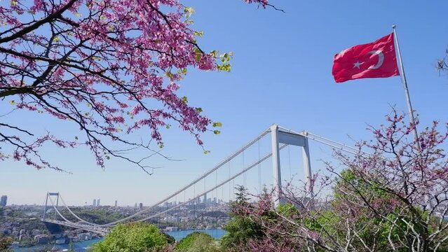  The Turkish flag is waving in the wind in a park overlooking the bridge over the Bosphorus and beautifully blooming sakura. Travel Istanbul background photo