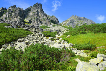 Mlynicka Valley In Vysoke Tatry (Tatra Mountains), Slovakia.