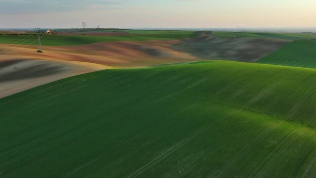Aerial view of amazing green wavy hills with agricultural fields in evening spring. South Moravia region, Czech Republic, Europe, 4k