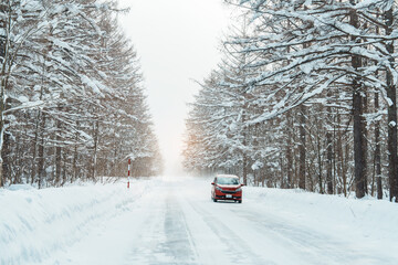 Beautiful snow road forest view during car driving in winter season. Winter travel, Road trip,...