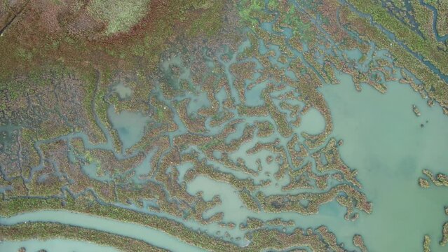 The Valli di Comacchio lagoon and wetland, Comacchio, Italy,  drone top down view during day
