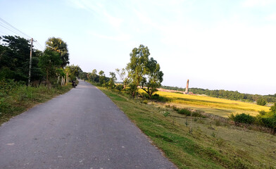 Afternoon landscape natural scenery with road, trees, paddy field and sky