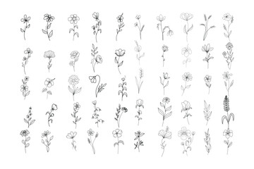 Decorative floral design vector collection