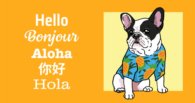 Composition of "Hello" messages in 5 different written languages, with an adorable French Bulldog in Hawaiian style vacation shirt isolated on Yellow background