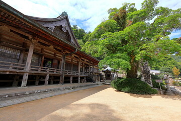 Fototapeta premium Nachisan Seiganto-ji Temple (Seigantojihondo) at Nachisan, Nachikatsuura, Wakayama, Japan