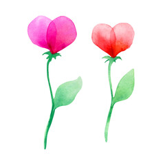 Watercolor illustration of pink flowers isolated on a white background.