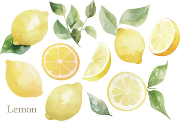 水彩で描いたレモンのイラスト - obrazy, fototapety, plakaty