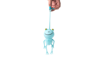 Woman hand holding blue rubber frog toy isolated on white background.
