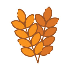 Fototapeta na wymiar thanksgiving wheat icon vector