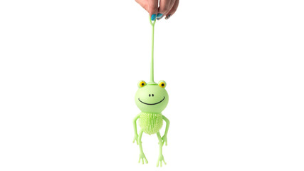 Woman hand holding rubber frog toy isolated on white background.