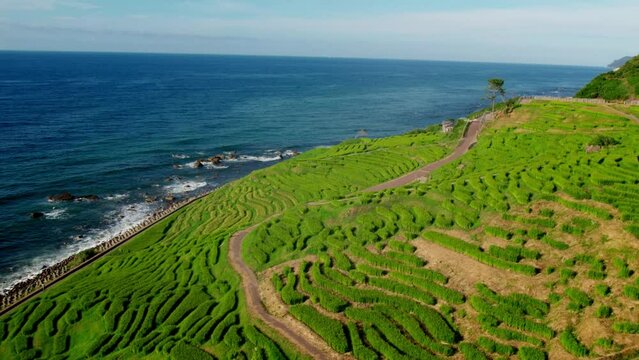 ドローンで空撮した日本の棚田、石川県白米千枚田（Ishikawa Prefecture）