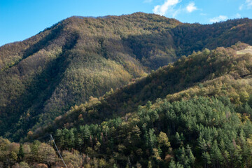 Fototapeta na wymiar casentino national park autumn colors arezzo tuscany