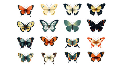 butterfly, vector, insect, nature, set, design, illustration, collection, beauty, summer