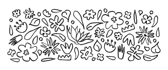 Set hand drawn black brush linear flowers. Abstract monochrome background with plants