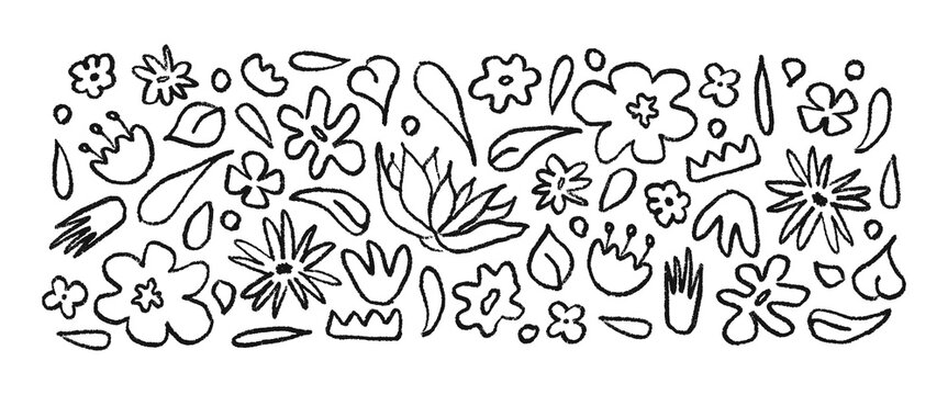 Set hand drawn black brush linear flowers. Abstract monochrome background with plants