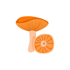 Lactarius mushroom. Inedible fungus. Vector cartoon illustration with texture isolated on the white background.