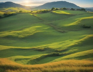 landscape with green field and sky, A scenic backdrop of a flourishing grass-covered hill