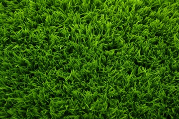 lush green backdrop, eco-friendly vibe for sustainability enthusiasts, Generative AI