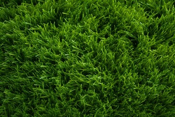 lush green backdrop, eco-friendly vibe for sustainability enthusiasts, Generative AI