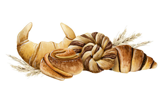 Pastry croissants and cinnamon chocolate braided buns watercolor illustration for breakfast and coffee break designs isolated on white. Delicious fresh food from bakery with wheat