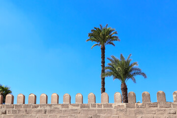 Fortress wall and two palm tree in ancient Cairo Citadel, Egypt, North Africa. Famous landmark of...