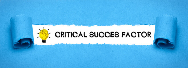 Critical Success Factor	 - obrazy, fototapety, plakaty