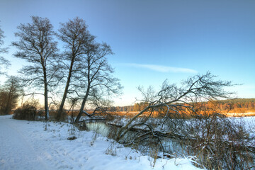 landscape winter trees and fields covered by snow in Poland, Europe on sunny day in winter, amazing clouds in blue sky