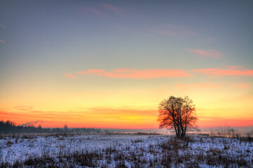 Fototapeta premium landscape winter trees and fields covered by snow in Poland, Europe on sunny day in winter, amazing clouds in blue sky