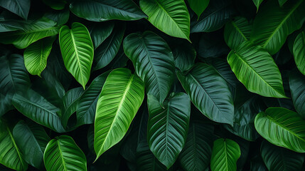 Green leaves texture. Tropical leaf background. Banner. Top view. Made with generative ai
