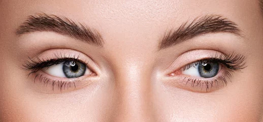 Foto op Aluminium Beautiful female eyes with long eyelashes. Eyelash extensions. Makeup, cosmetics, beauty. Close up, macro © Oleg Gekman