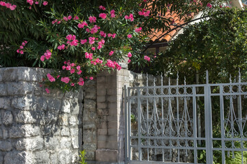 House fence and pink oleander flowers decoration