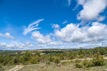 Fototapeta na wymiar Panorama du causse de Sauveterre à Champerboux, Lozère, France