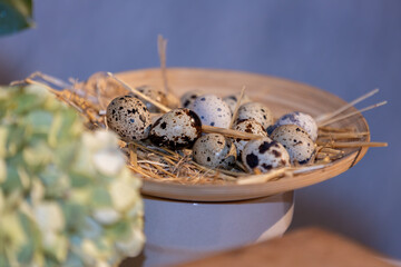 Plato de huevos de codorniz sobre cama de paja en un plato de madera 