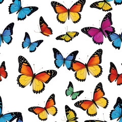 Exquisite  butterfly captured in high detail, perfect for educational use, nature-inspired graphic designs, and digital overlays with its transparent background