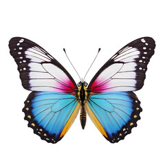 Obraz premium Exquisite butterfly captured in high detail, perfect for educational use, nature-inspired graphic designs, and digital overlays with its transparent background