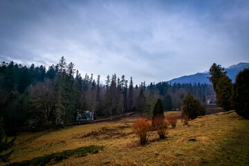Peleș Castle in Transylvania .