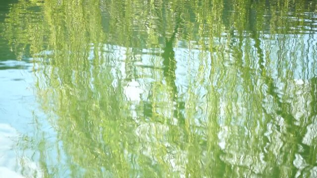 ripples on the water surface with reflection of branches of weeping willow tree and fresh green spring goslings shaking in wind, over blue lake water, creating a serene and tranquil scene. slow motion