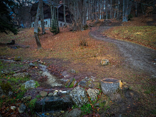 Peleș Castle in Transylvania .